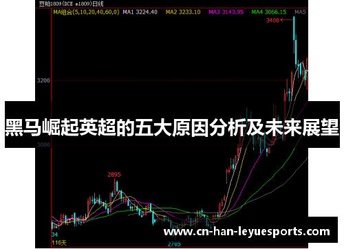 黑马崛起英超的五大原因分析及未来展望