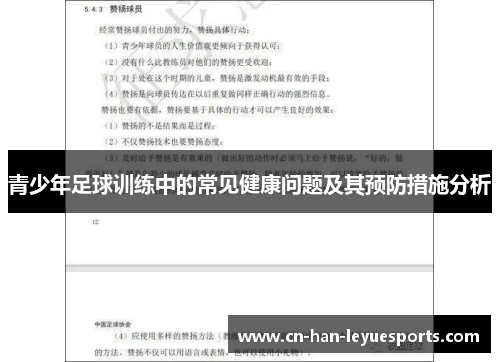 青少年足球训练中的常见健康问题及其预防措施分析